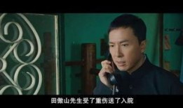 叶问 粤语 在线观看,重温国术宗师传奇风采